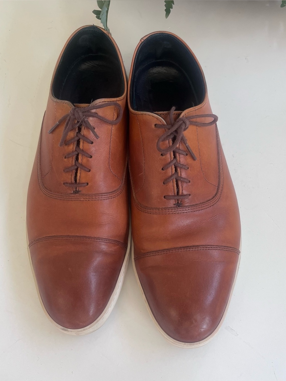 Allen Edmonds Park Avenue Sz 10D Cap Toe Casual Dress Shoe Sneaker Brown Leather